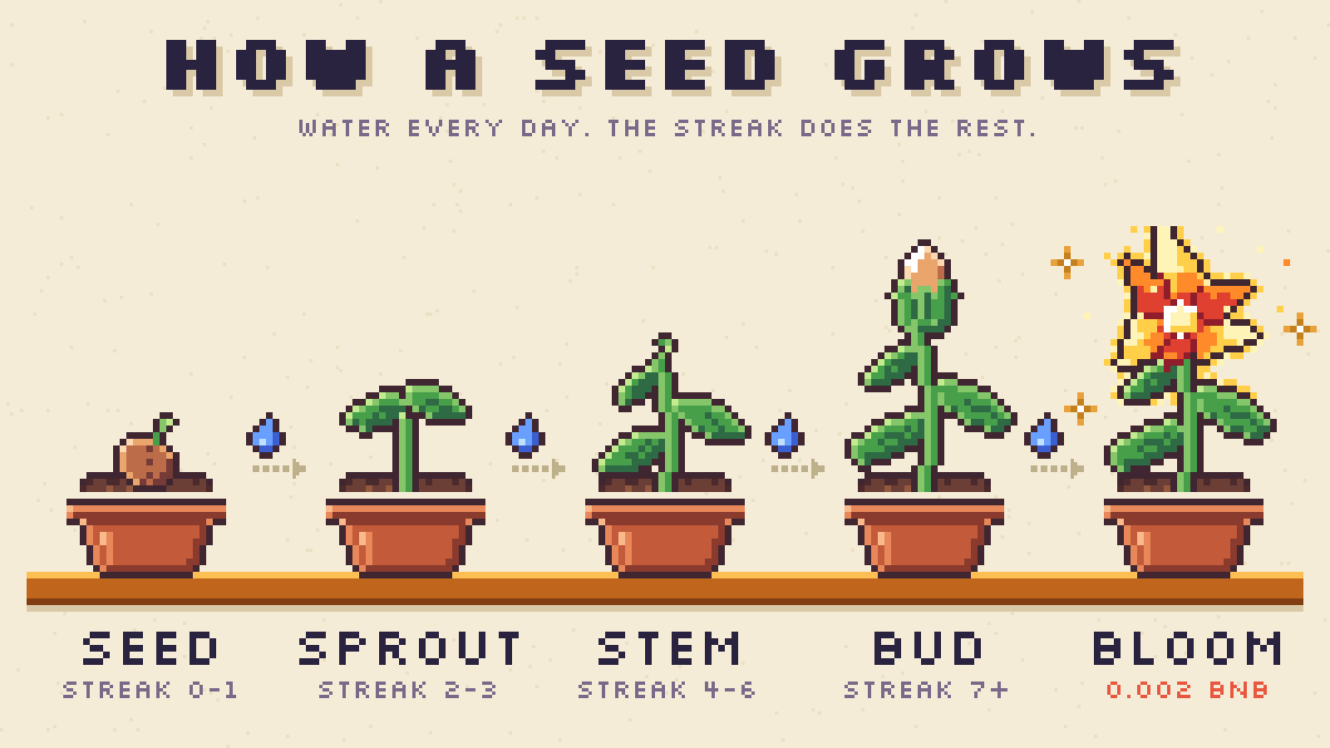 How a seed grows: seed (streak 0 to 1), sprout (2 to 3), stem (4 to 6), bud (7 or more), bloom (0.002 BNB).